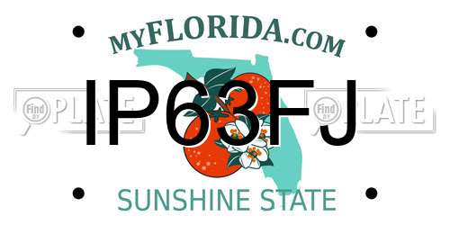 IP63FJ Florida License Plate