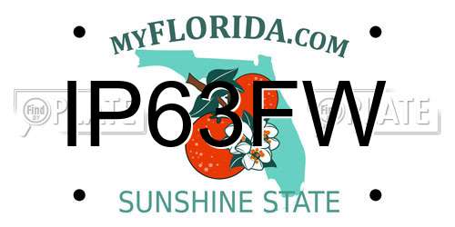 IP63FW Florida License Plate