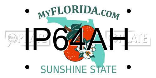 IP64AH Florida License Plate