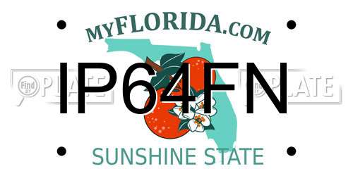 IP64FN Florida License Plate