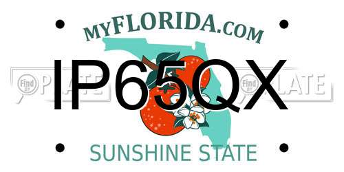 IP65QX Florida License Plate