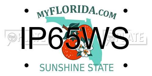 IP65WS Florida License Plate