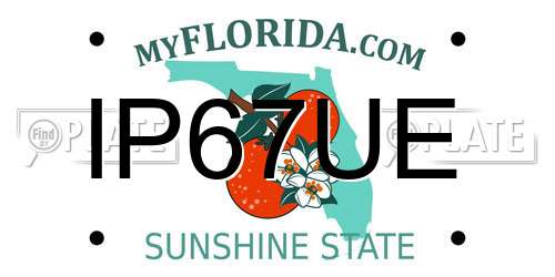 IP67UE Florida License Plate