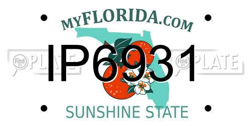 IP6931 Florida License Plate