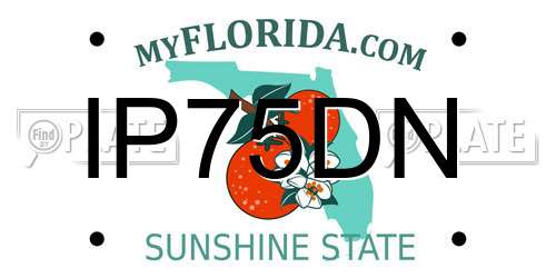 IP75DN Florida License Plate