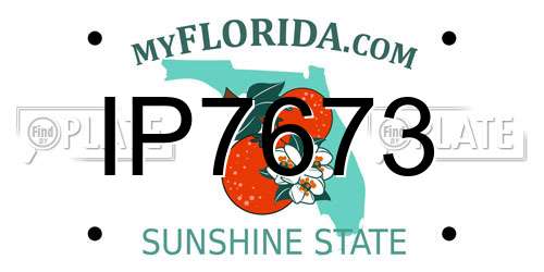 IP7673 Florida License Plate