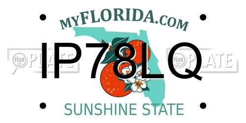 IP78LQ Florida License Plate