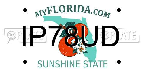 IP78UD Florida License Plate