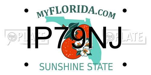 IP79NJ Florida License Plate
