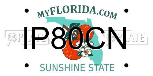 IP80CN Florida License Plate