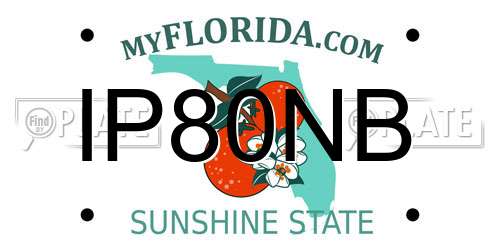 IP80NB Florida License Plate