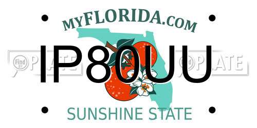 IP80UU Florida License Plate