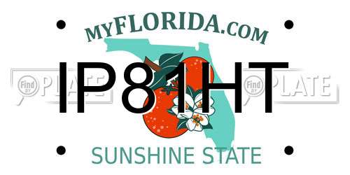 IP81HT Florida License Plate