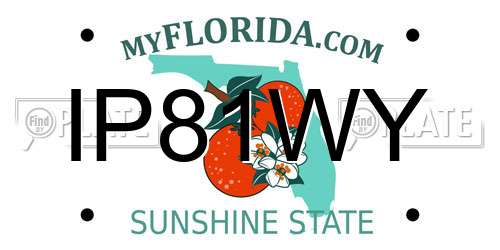 IP81WY Florida License Plate