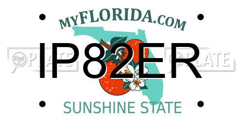 IP82ER Florida License Plate