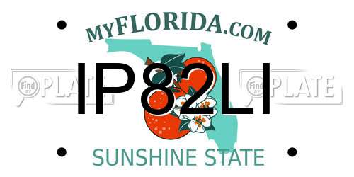IP82LI Florida License Plate