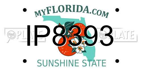 IP8393 Florida License Plate