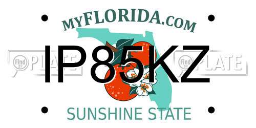 IP85KZ Florida License Plate
