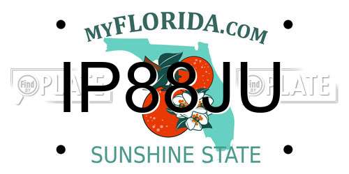 IP88JU Florida License Plate