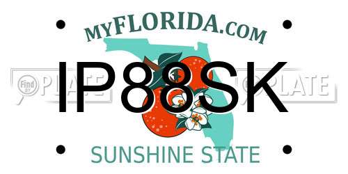 IP88SK Florida License Plate
