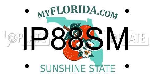 IP88SM Florida License Plate