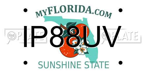 IP88UV Florida License Plate