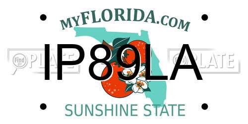 IP89LA Florida License Plate