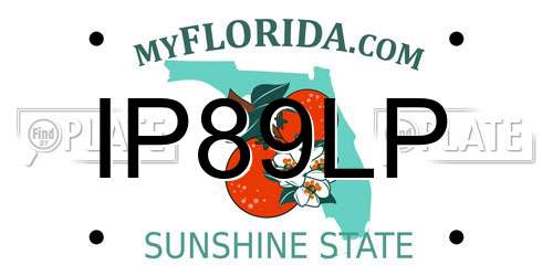 IP89LP Florida License Plate