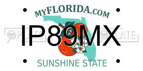 IP89MX Florida License Plate
