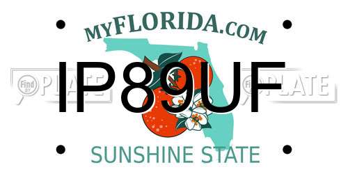 IP89UF Florida License Plate