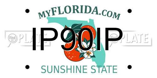 IP90IP Florida License Plate