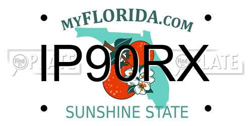 IP90RX Florida License Plate