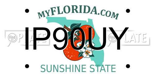 IP90UY Florida License Plate