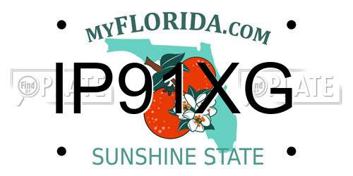 IP91XG Florida License Plate