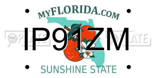 IP91ZM Florida License Plate