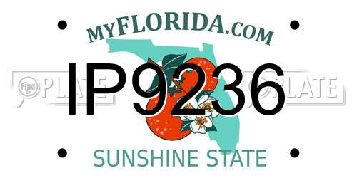 IP9236 Florida License Plate