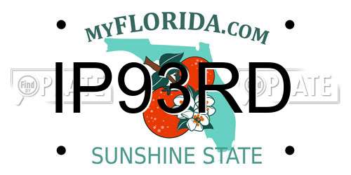 IP93RD Florida License Plate