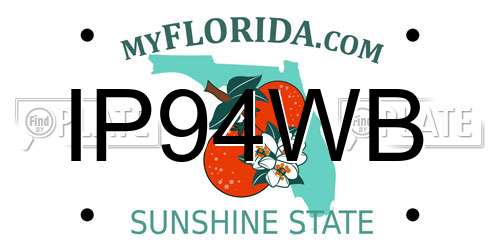 IP94WB Florida License Plate