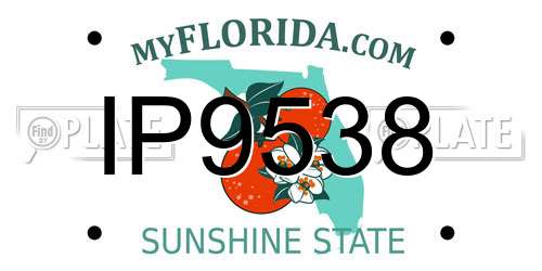 IP9538 Florida License Plate