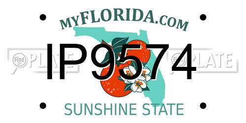 IP9574 Florida License Plate
