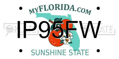 IP95FW Florida License Plate