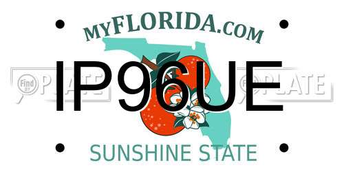 IP96UE Florida License Plate