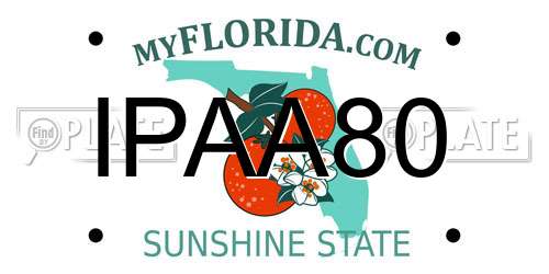 IPAA80 Florida License Plate