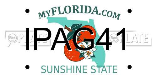 IPAG41 Florida License Plate