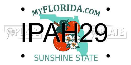 IPAH29 Florida License Plate