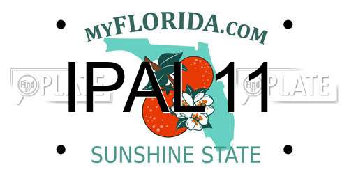 IPAL11 Florida License Plate