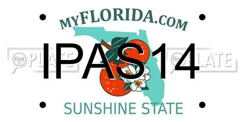 IPAS14 Florida License Plate