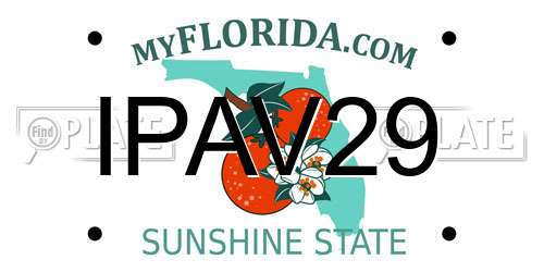 IPAV29 Florida License Plate