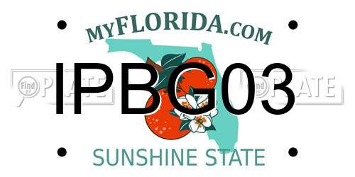 IPBG03 Florida License Plate