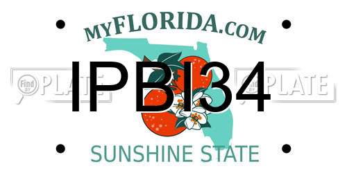 IPBI34 Florida License Plate